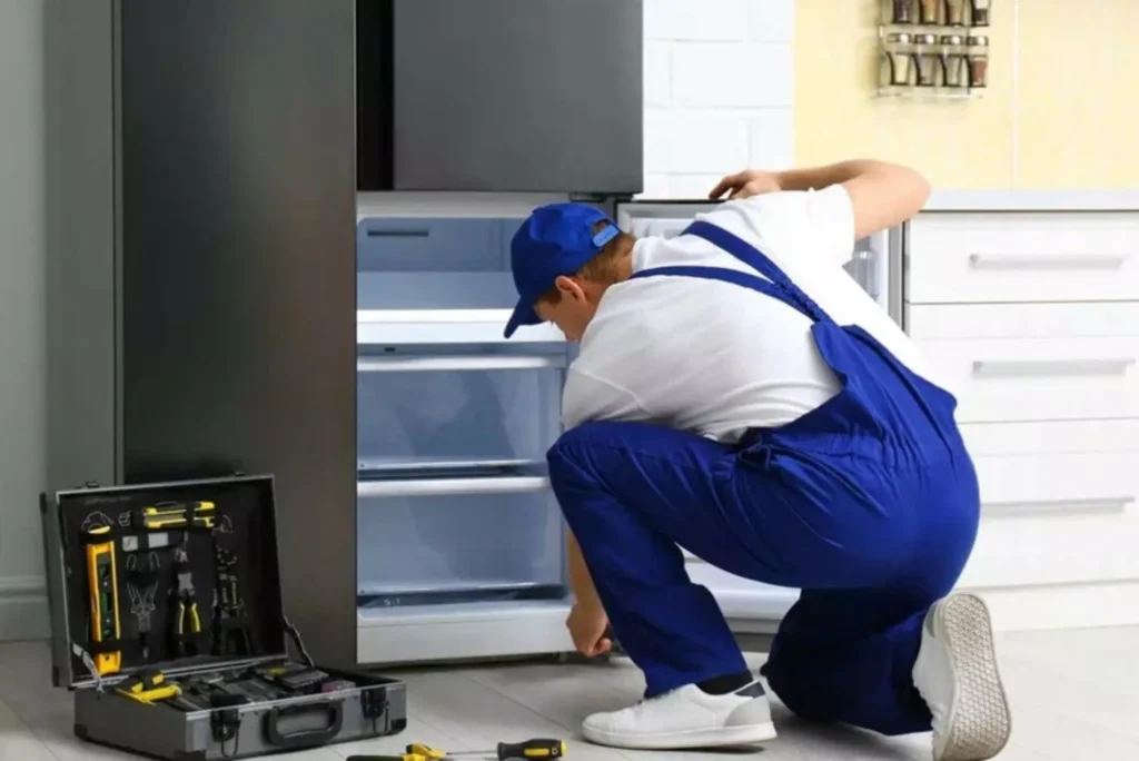 Refrigerator Maintenance